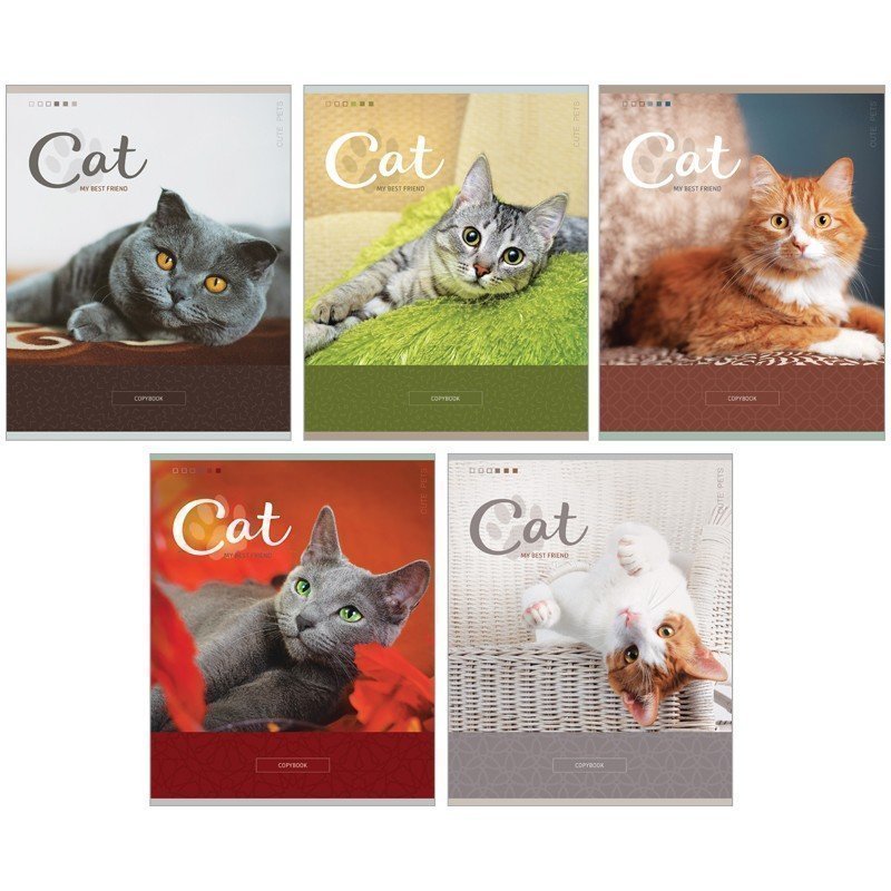 Тетрадь 48л, А5, клетка ArtSpace "Питомцы. Cute pets", ВД-лак
