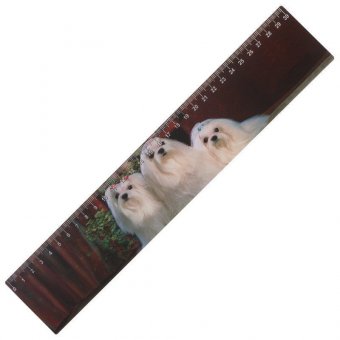 Линейка 3D, 30 см, BRAUBERG, объемная, "Собаки", европодвес
