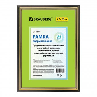 Рамка 21х30 см, пластик, багет 16 мм, BRAUBERG "HIT3", бронза с двойной позолотой, стекло