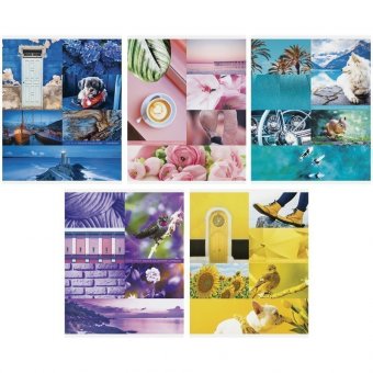Тетрадь 48л, А5, линия ArtSpace "Стиль. Colourful collage"