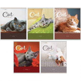 Тетрадь 48л, А5, клетка ArtSpace "Питомцы. Cute pets", ВД-лак