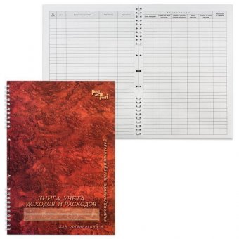 Книга учета доходов и расходов, 50 л, А4, 204х290 мм, гребень, картон, 13с21-50