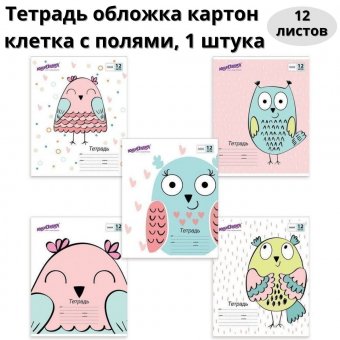 Тетрадь 12 л ЮНЛАНДИЯ линия с полями "СОВУШКА"