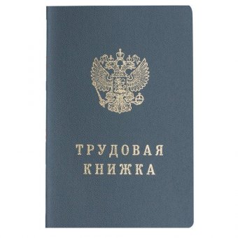 Бланк документа "Трудовая книжка" серия VI, 88х125 мм, Гознак
