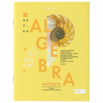 Тетради предметные со справочным материалом, КОМПЛЕКТ 12 ПРЕДМЕТОВ, VISION, 48 л., обложка картон, BRAUBERG, 4