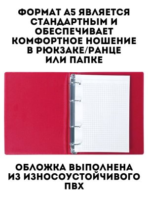 Тетрадь на кольцах А5 180х220 мм, TouchLife 80 л, клетка