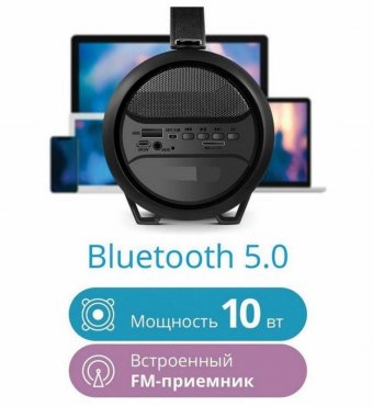 Колонка портативная DEFENDER G24, 1.0, 10 Вт, Bluetooth, FM-тюнер, microSD, чёрная, 65124