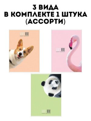 Тетрадь А4 96 л TouchLife клетка (3 вида) 