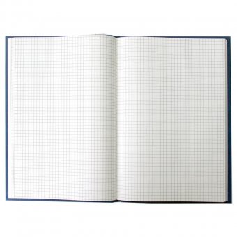 Книга учета BRAUBERG (БРАУБЕРГ), 96 л., А4, 200х290 мм, клетка, бумвинил, блок офсет