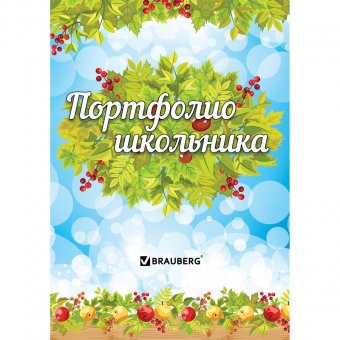 Портфолио ШКОЛЬНИКА BRAUBERG, 16 л., внутренний блок (титульный лист, содержание, 14 разделов)