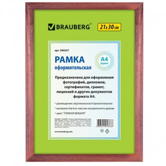 Фотоальбом BRAUBERG на 300+4 фотографии 10х15 см, твердая обложка, воспоминания