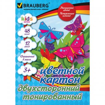 Цветной картон, А4, 210*297мм, BRAUBERG, детская серия, двухсторонний, тонированный, 48 листов, 12 цветов