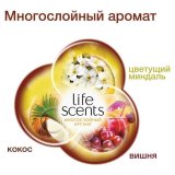 Сменный баллон 250 мл, AIRWICK Life Scents "Райское наслаждение", для автоматических освежителей, универсальны