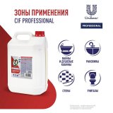 Средство для удаления ржавчины и известкового налета 5 л, CIF PROFESSIONAL, кислотное